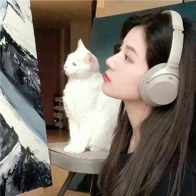 事故故事
